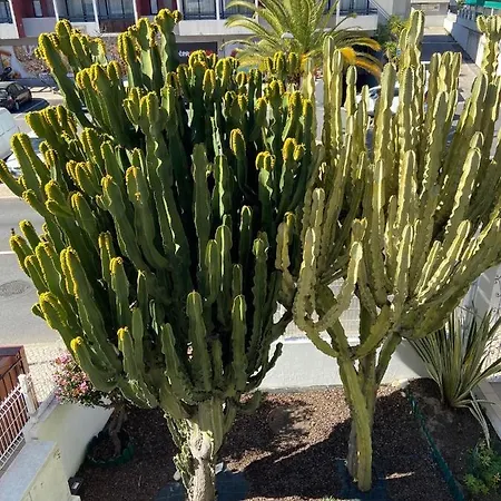 Apart-hotel Carruna 4*